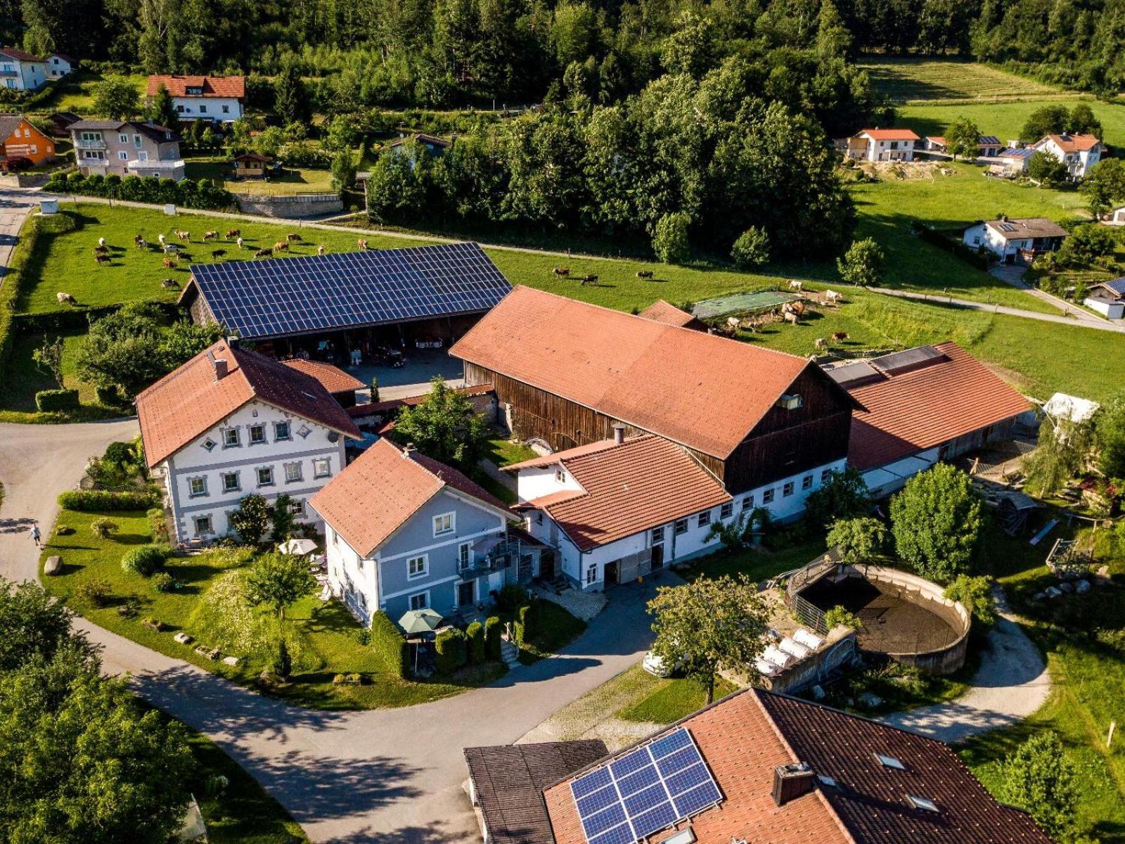 Апартаменты Ferienbauernhof Rosenberger Хауценберг Экстерьер фото
