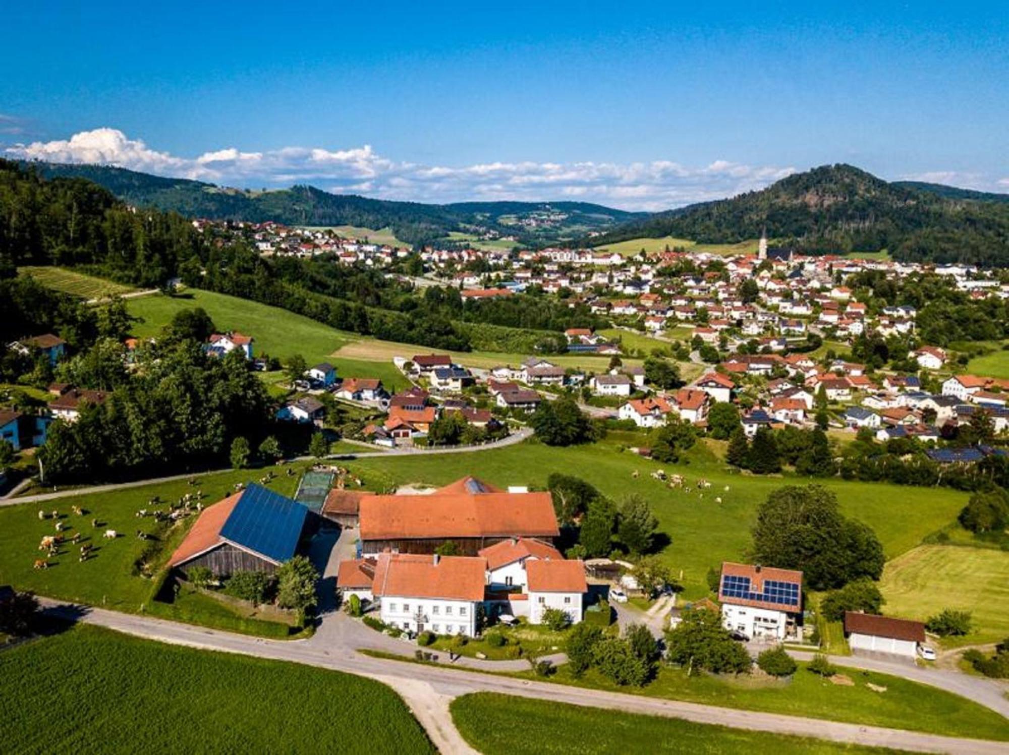 Апартаменты Ferienbauernhof Rosenberger Хауценберг Экстерьер фото